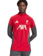 adidas Performance Футболна блуза Liverpool - Червен/Tъмносив