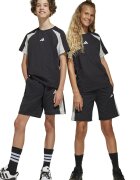 adidas Sportswear Шорти с памук и лого Черен/Светло сив