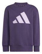 adidas Sportswear Спортен екип с лого Аметист