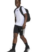 adidas Sportswear Тениска и шорти
