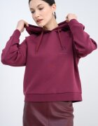 ARMANI EXCHANGE Худи с ръкави реглан Бордо
