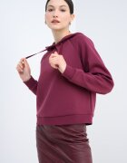 ARMANI EXCHANGE Худи с ръкави реглан Бордо