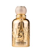 Auraa Desire Cedar Paradise екстракт от парфюм - мъже - 100 мл