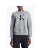 CALVIN KLEIN JEANS Bluza barbati cu logo din bumbac Regular Fit gri