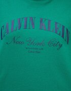 CALVIN KLEIN JEANS Къса тениска с лого Зелен/Ултрамарин синьо