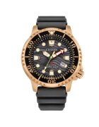 Citizen Мъжки часовник Promaster Dive BN0163-00H - Аналогов