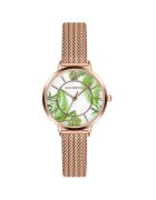 Emily Westwood Дамски ръчен часовник - мрежеста гривна - 34 мм - злато