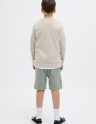 Jack & Jones Шорти със средна талия и връзка Бледозелен