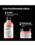 L'Oreal Professionnel Професионален рутинен комплект 250мл Боядисана/Светъл цвят/Тъмен цвят