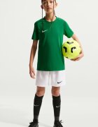 Nike Футболни обувки Dri Fit Park VIII с ръкави реглан Зелен