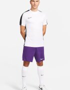 Nike Футболни шорти Park III с Dri-FIT Аметист