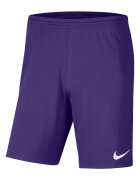 Nike Футболни шорти Park III с Dri-FIT Аметист