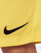 Nike Футболни шорти Park III с Dri-FIT Черен/Жълт