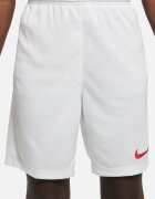 Nike Футболни шорти Park III с Dri-FIT Червен/Бял