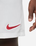 Nike Футболни шорти Park III с Dri-FIT Червен/Бял