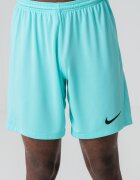 Nike Футболни шорти Park III с Dri-FIT Тюркоаз