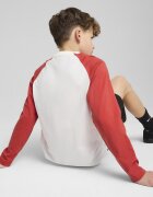 Puma Блуза с ръкави реглан Бял/Керемидено червено