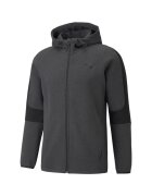 Puma Evostripe Core Fz Hoodie 58581207