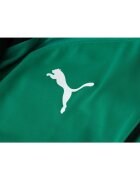 Puma Мъжка спортна блуза TEAMLIGA 1/4 ZIP TOP зелен