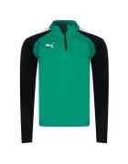 Puma Мъжка спортна блуза TEAMLIGA 1/4 ZIP TOP зелена