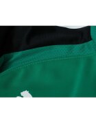 Puma Мъжка спортна блуза TEAMLIGA 1/4 ZIP TOP зелена