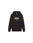 Puma Пума TEAM Hoodie 62439601