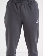 Puma Спортен панталон Essentials No. 1 Въглен сиво