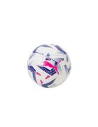 Puma Топка Многоцветна Размер