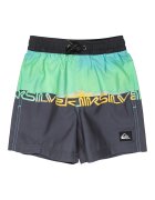 QUIKSILVER Плувни шорти Everyday с лого Зелен/Антрацитно сиво