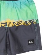 QUIKSILVER Плувни шорти Everyday с лого Зелен/Антрацитно сиво