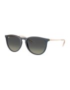 Ray-Ban Унисекс слънчеви очила Erika Pantos Златист/Тъмносин