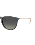 Ray-Ban Унисекс слънчеви очила Erika Pantos Златист/Тъмносин