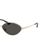 Ray-Ban Унисекс овални слънчеви очила Kai Златист/Черен