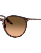 Ray-Ban Унисекс слънчеви очила Pantos с градиента Черен/Кафяв