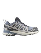 Salomon Обувки XA Pro 3D V9 GTX за бягане - Сив/Прашно синьо