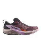 Salomon Обувки за трейл и бягане Sense Ride 5 GTX - Виолетов/Лилав