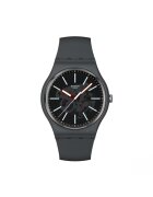 Swatch Ceas Originals SO29A101