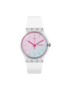 Swatch Ceas Originals SO29K704S14