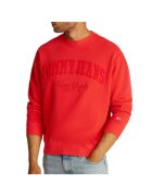 Tommy Hilfiger Блуза TJM RLX VINTAGE VARSITY CREW-DM0DM20262-XME