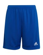 adidas Спортни шорти Entrada 22 HG6291 Син Regular Fit