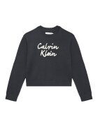 CALVIN KLEIN JEANS Пуловер IG0IG02971 D Черен Regular Fit
