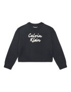 CALVIN KLEIN JEANS Пуловер IG0IG02971 M Черен Regular Fit