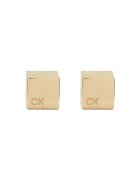 CALVIN KLEIN Обици 35000246