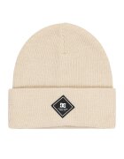 DC Shoes Шапка Label ADYHA04164