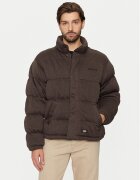 Dickies Зимно яке DK0A4Z38BLK Relaxed Fit