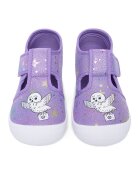 Harry Potter Пантофи CEO-CM-AW26-216WBHP