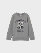 NAME IT Суитшърт HARRY POTTER 13210593 Regular Fit