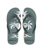 QUIKSILVER Джапанки Molokai Screen AQYL101427