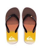 QUIKSILVER Джапанки MOLOKAI STRIPE AQYL101361 XNNK