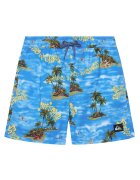QUIKSILVER Плувни шорти Everyday EQBJV03501 Regular Fit
